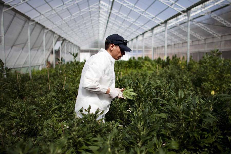 6 nouvelles professions