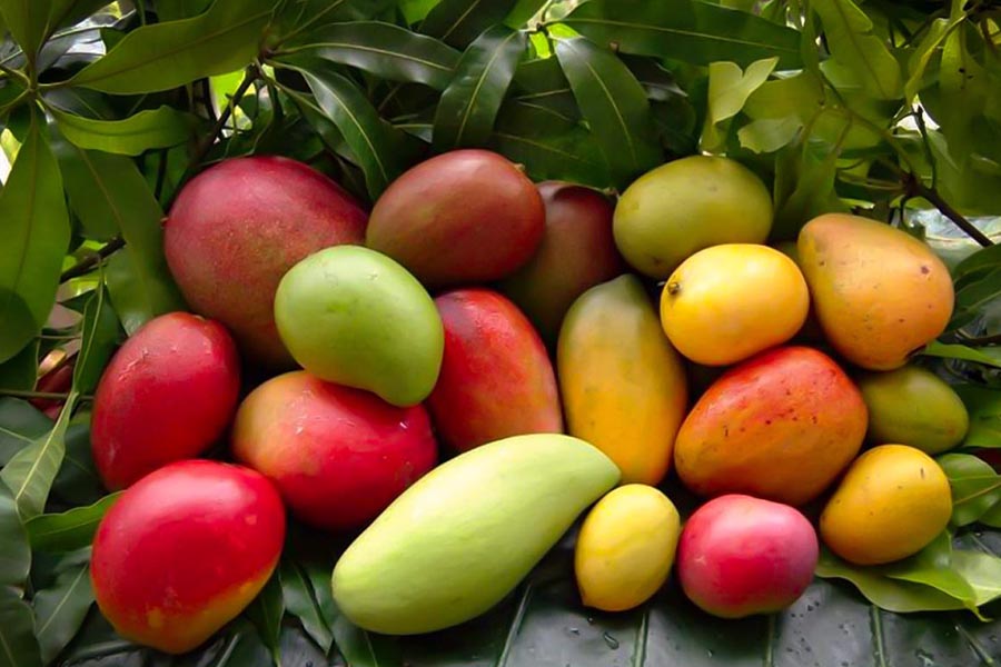 booster le métabolisme