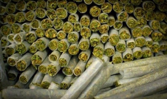 chute des ventes de big pharma 2