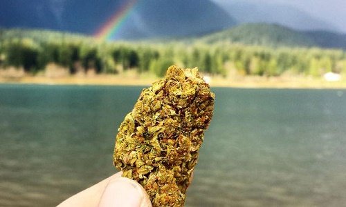 de la drogue dans l’air