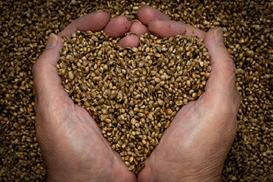 fertilité masculine 3