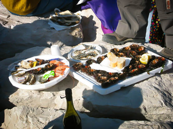 Le cannabis de l'Océan