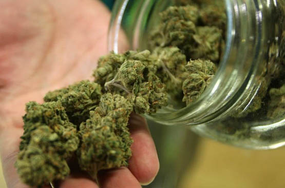 Le cannabis de l'Océan