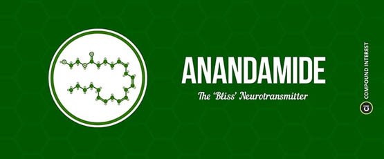 Le cannabis de l'Océan