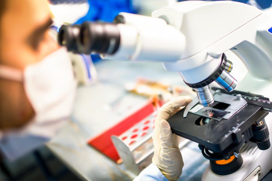 le génome du cannabis