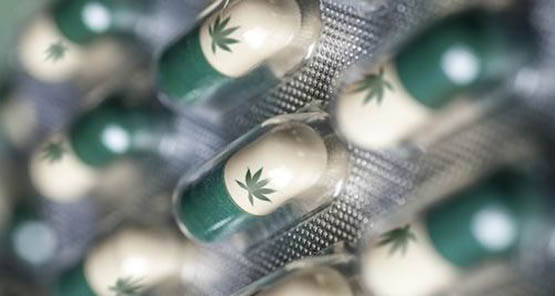 le paradoxe opioïde 4