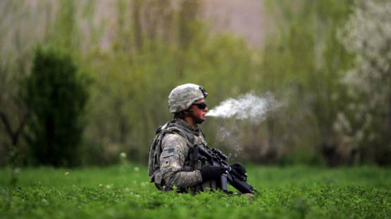 33 Millions d'Américains fument de la Marijuana