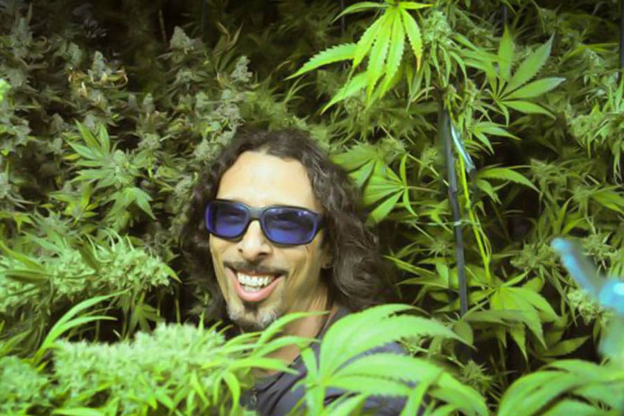 arizona les patients pourront ils cultiver leur marijuana 7