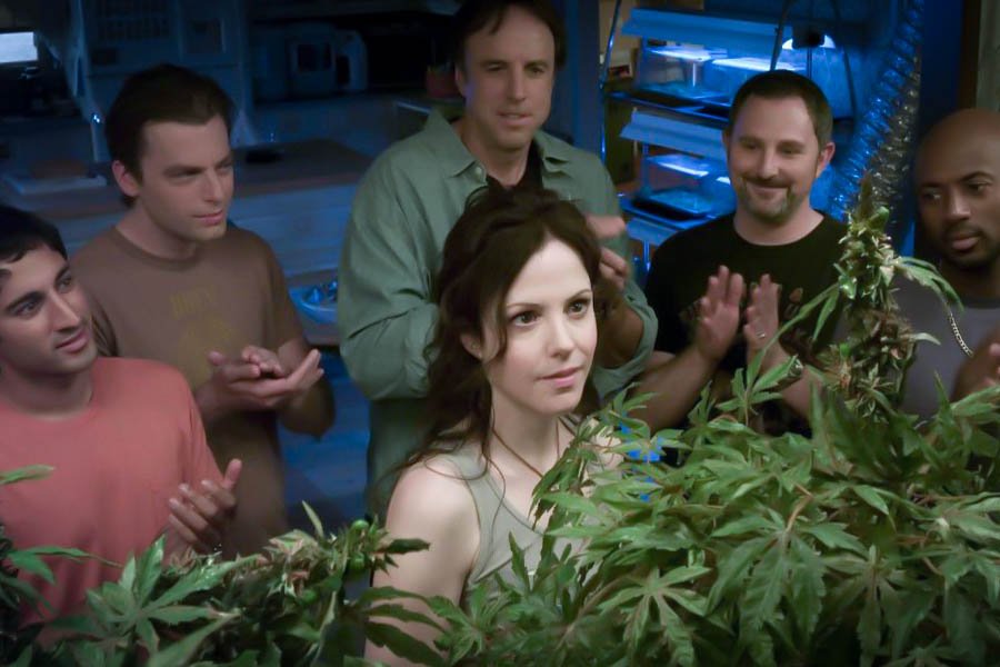 italie vers une légalisation totale du cannabis 9