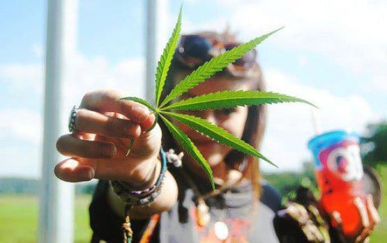 alcool,alcool vs marujuana,alcool vs weed,alcool vs cannabis