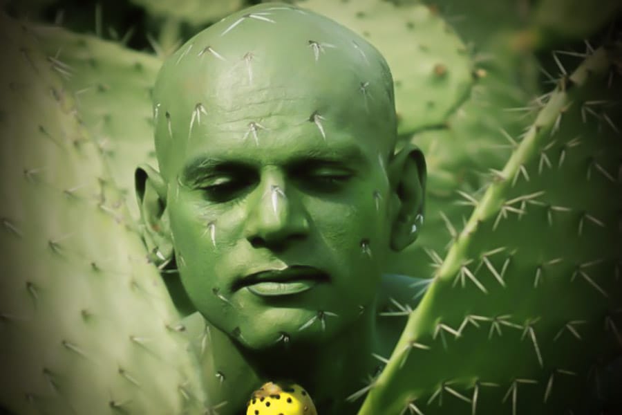 la weed ne vous fait plus d effet 8