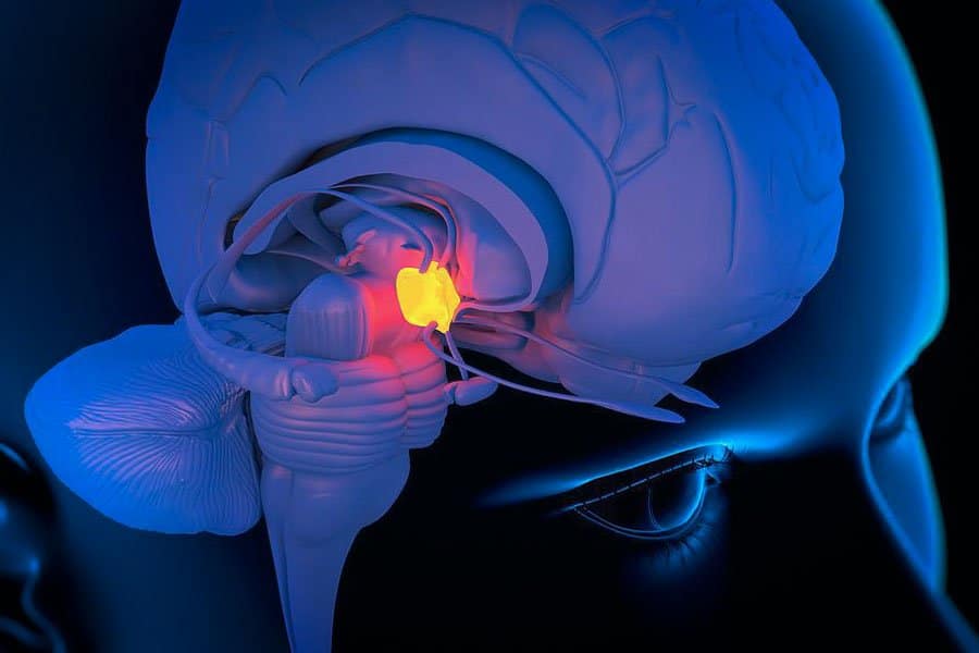le cannabis atténue les effets négatifs de l héroïne 4