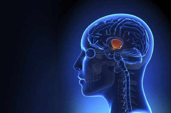 Le Cannabis atténue les effets négatifs de l'Héroïne