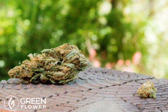 microdosage la méthode révolutionnaire 6