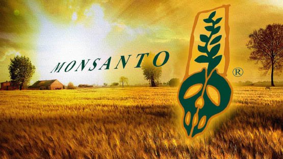monsanto-11