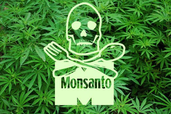 foliage-1157792_960_7201