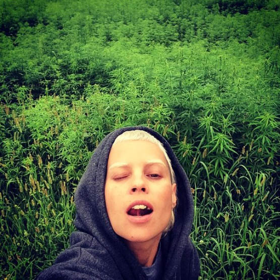 quel scénario pour la france 4