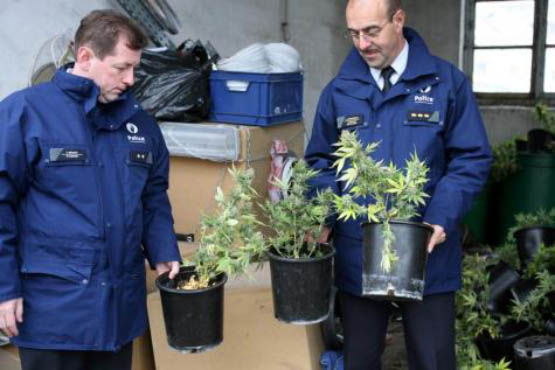 quel scénario pour la france 6