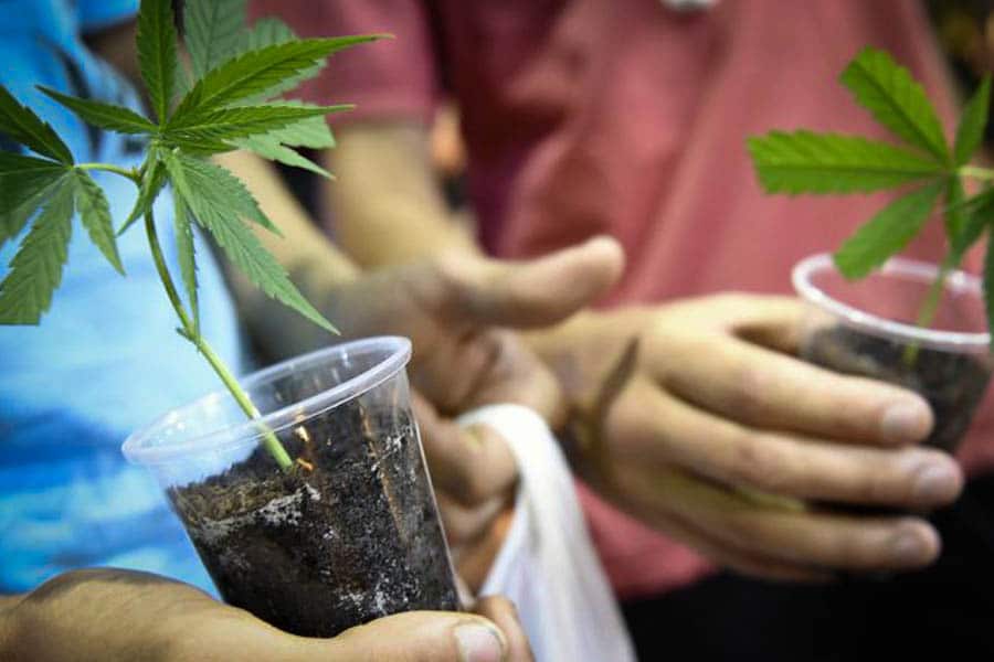 quel scénario pour la france 8