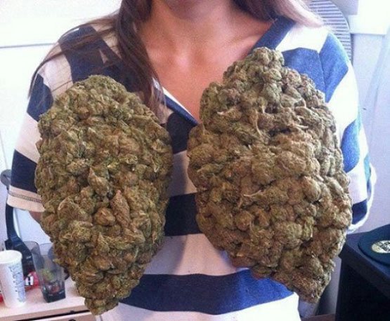 7 bonnes raisons de ne pas mélanger le tabac avec de la marijuana