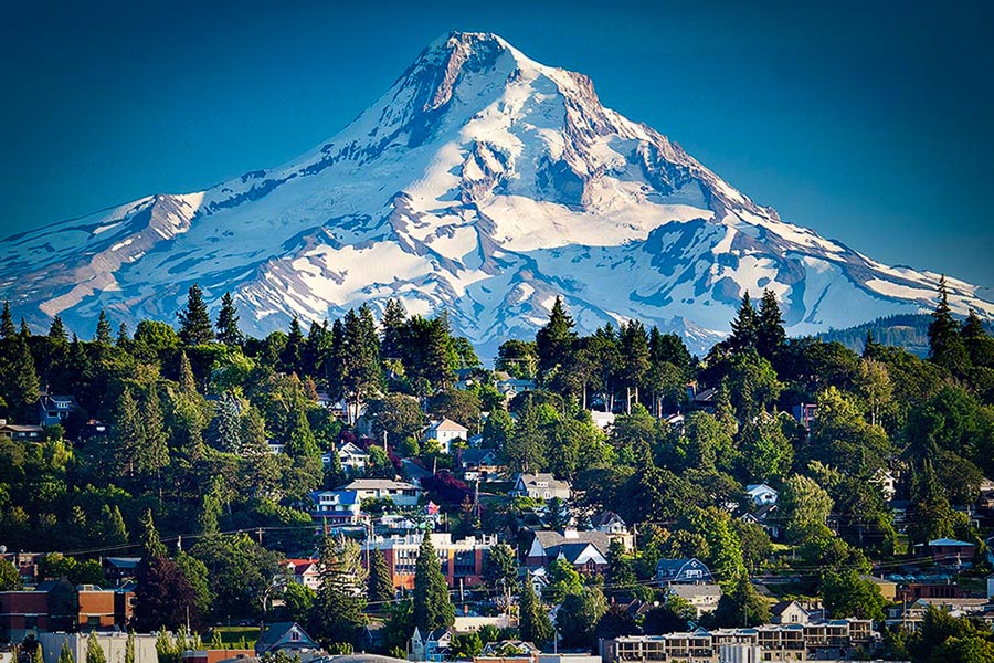 cumuler du médical du homegrow en oregon 4
