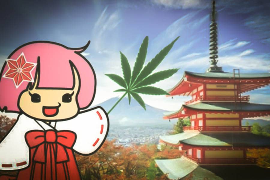 la mascotte japonaise du chanvre 11