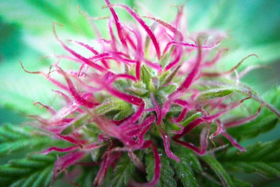 la science des couleurs 9