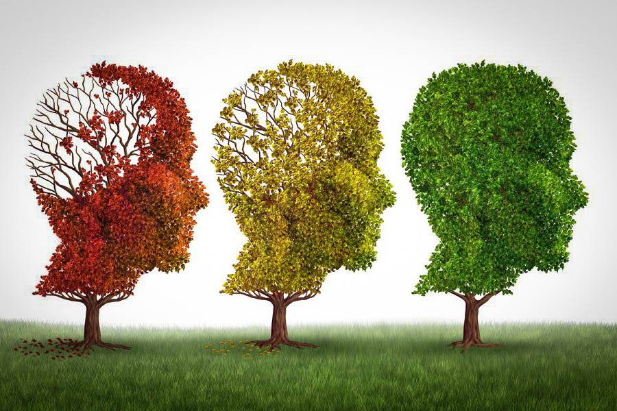 le cannabis peut traiter la démence vasculaire 3