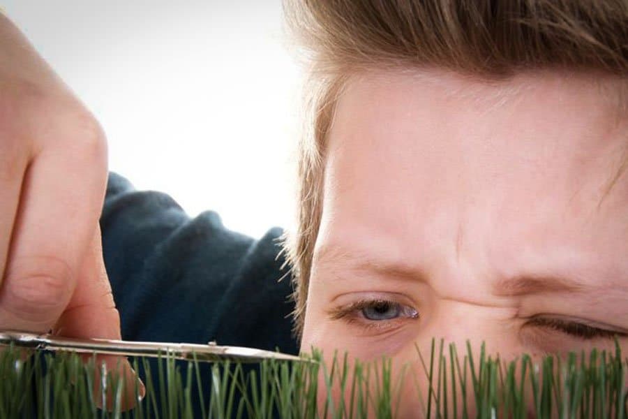 le cbd contre le syndrome obsessionnel 6