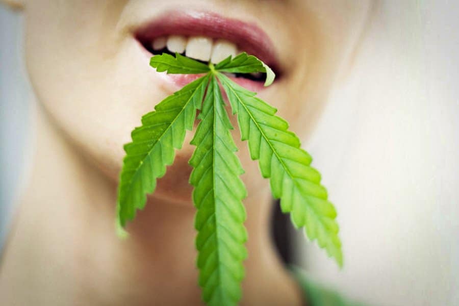 les cannabinoïdes ingrédients de la fertilité 10