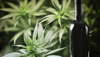 une alliance vieille comme le monde 12