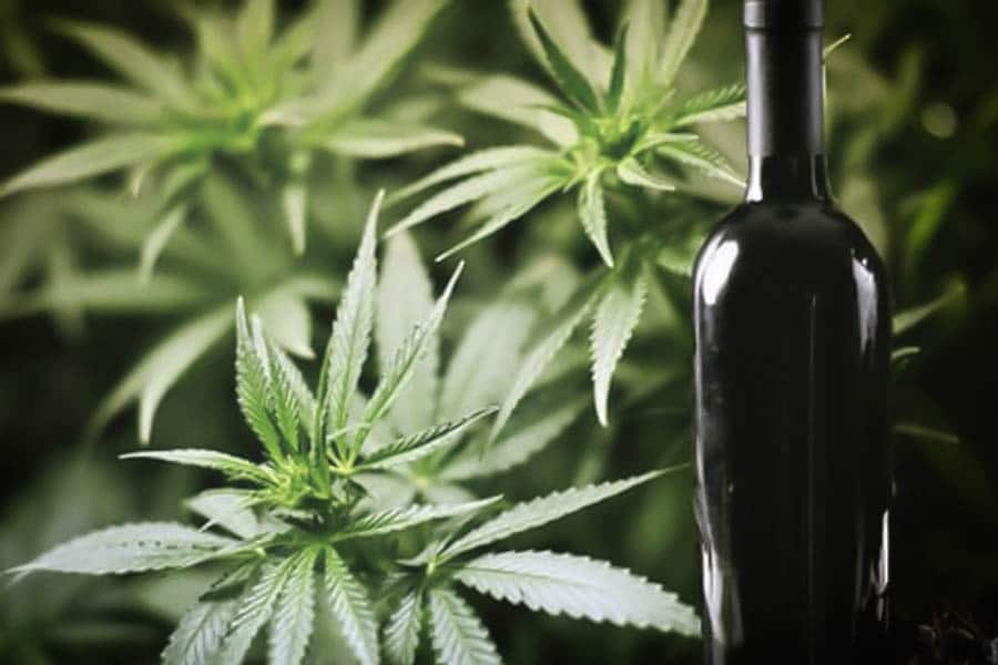 une alliance vieille comme le monde 12