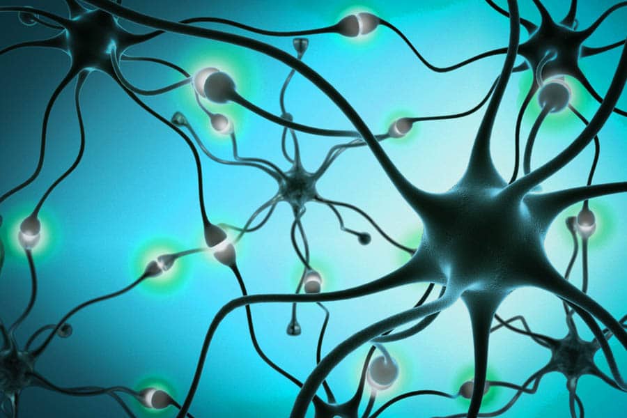 une micro dose de thc aide à retrouver la mémoire 8