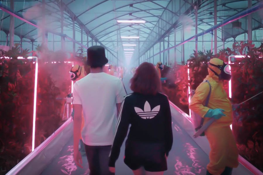 adidas sa vision du futur cannabique 4