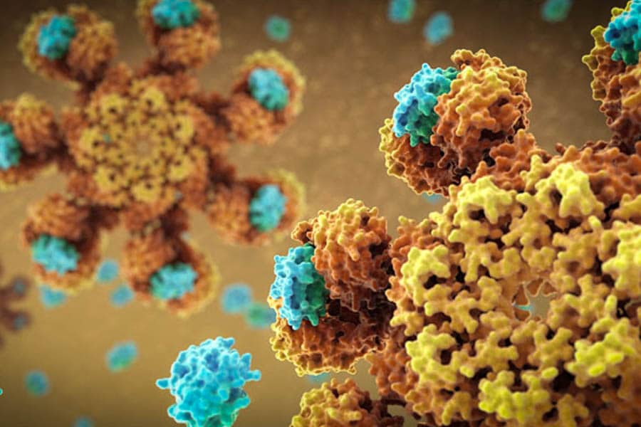 cannabis cancer questions en suspend 6