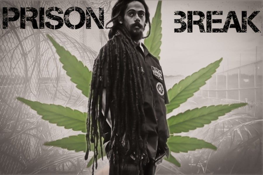 damian marley speak life 6