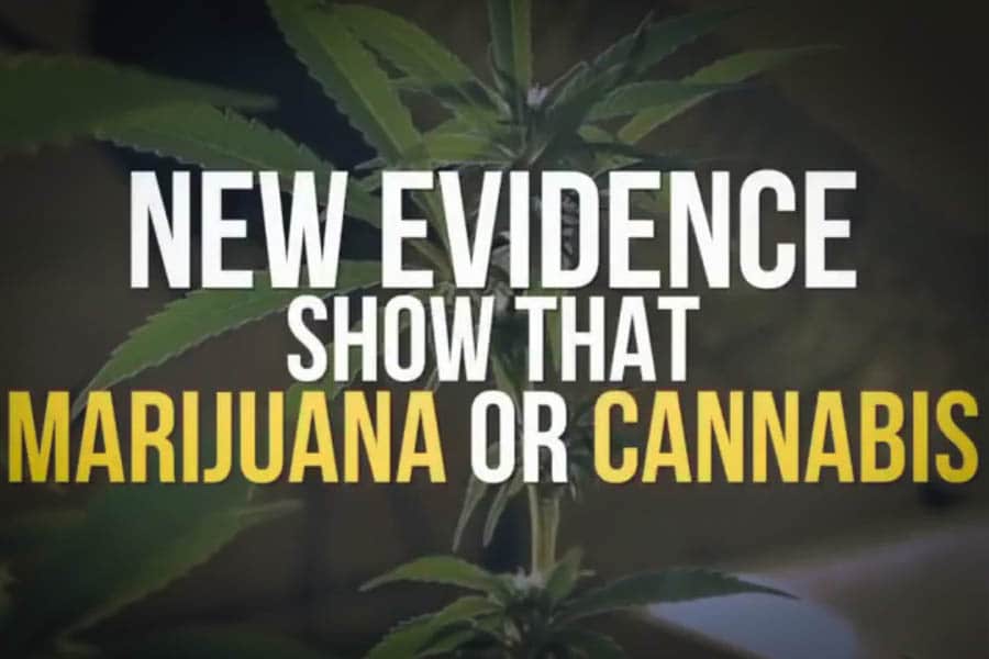 de l’huile de cbd pour les enfants épileptiques