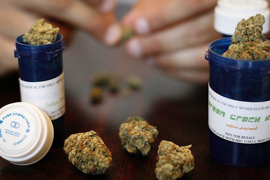 l australie autorise la culture de marijuana médicale 3