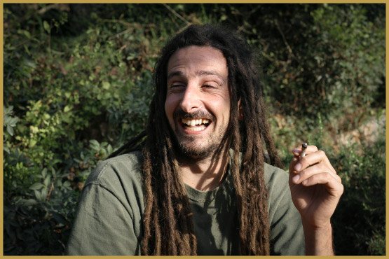 La longue vie du THC