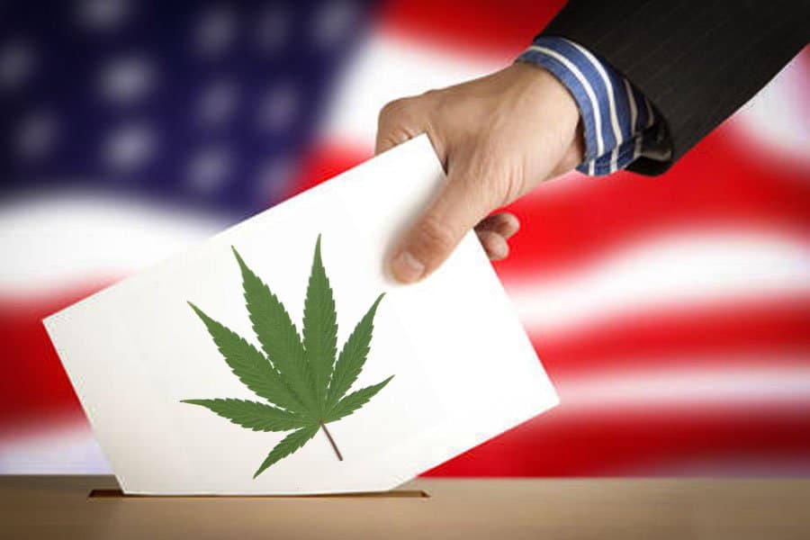 le cannabis les élections présidentielle états uniennes 5