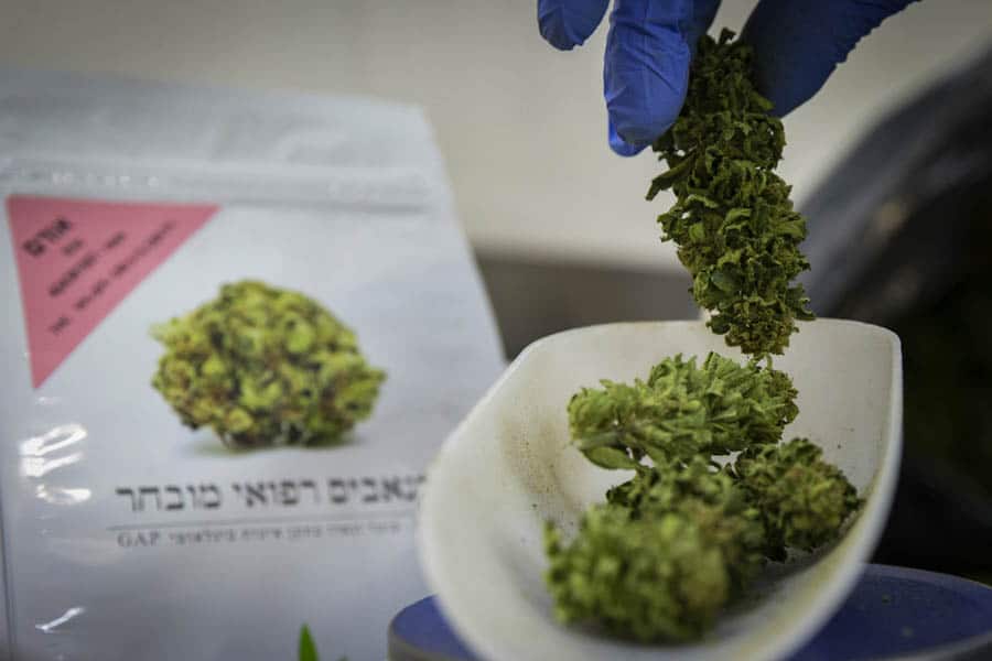 le cannabis médical israélien accessible en pharmacie