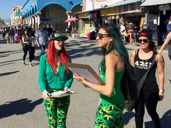 californie-signatures