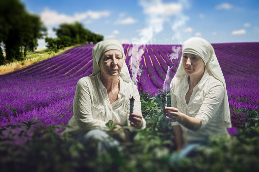 les plantes médicinales associatives 24