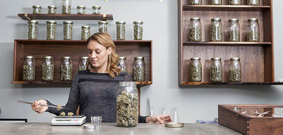 pourquoi ne pas laisser les buralistes vendre de la marijuana 10