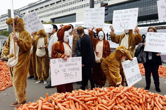 pourquoi ne pas laisser les buralistes vendre de la marijuana 8