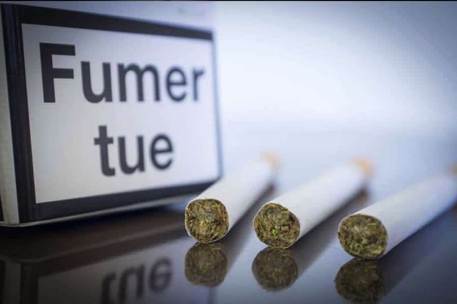 pourquoi ne pas laisser les buralistes vendre de la marijuana 9