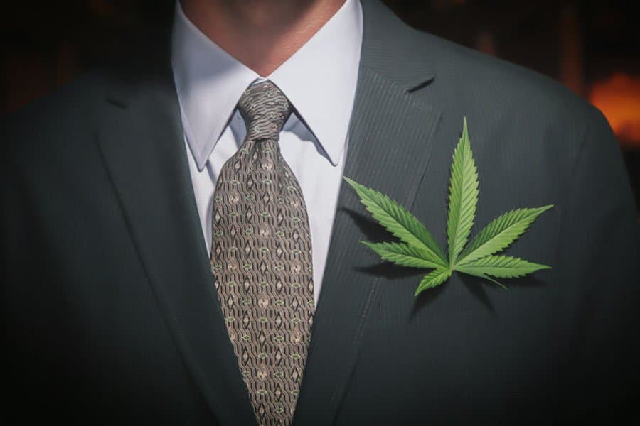 profession sommelier en cannabis 5