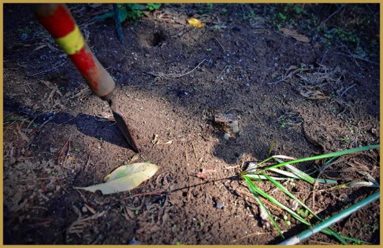 009350c0a95741c98ec05bac047d6318