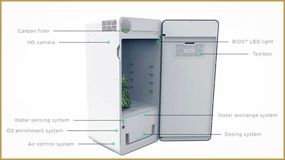 21 applications pour consommateurs de cannabis 3