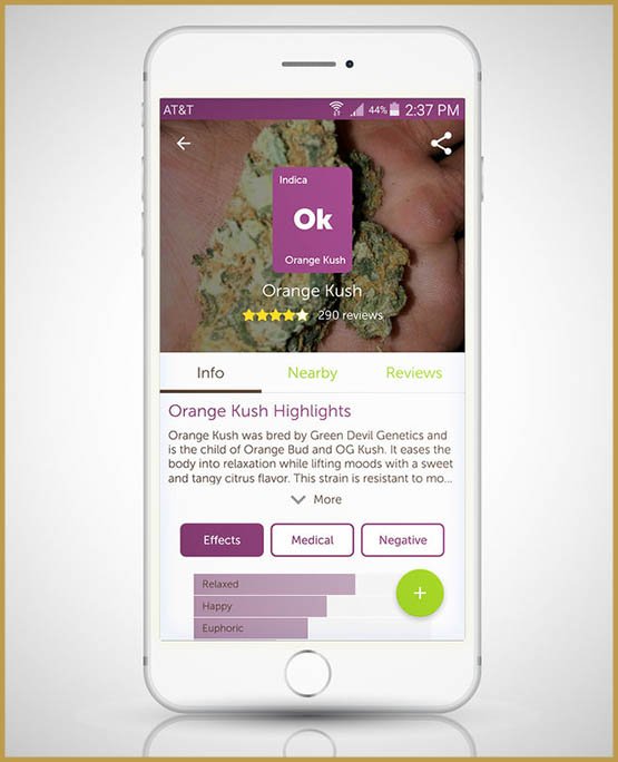21 applications pour consommateurs de cannabis 8